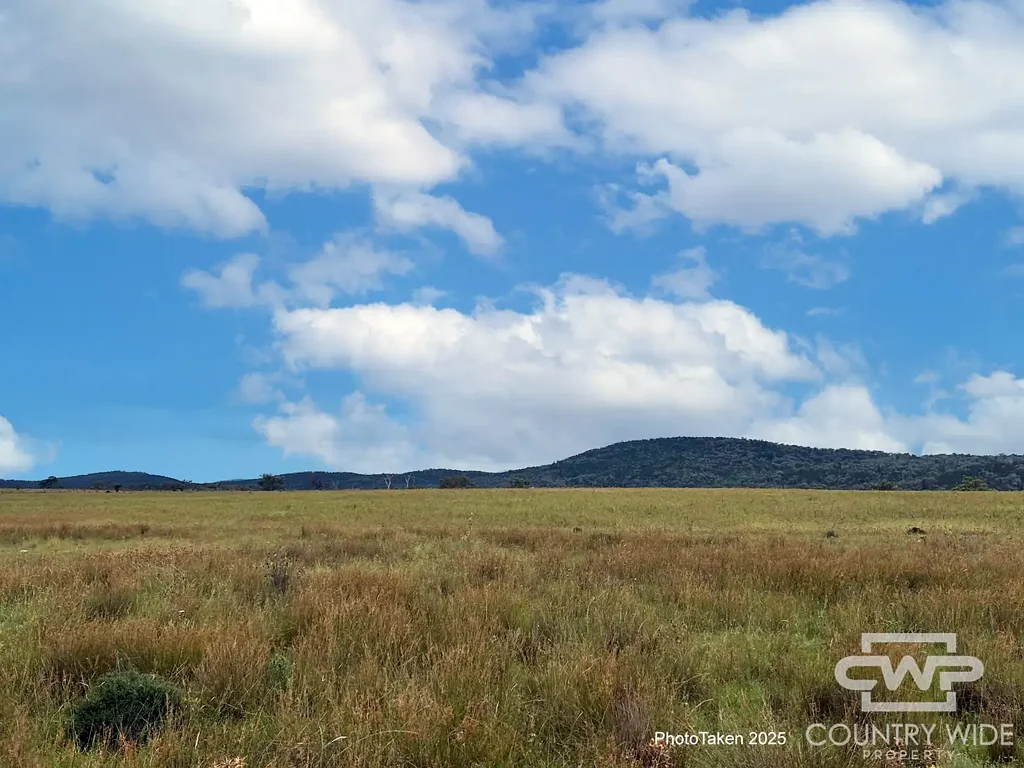 Rocky Creek  Productive Rural Holding with Lifestyle Appeal – 80.94 Ha (Approx. 200 Acres