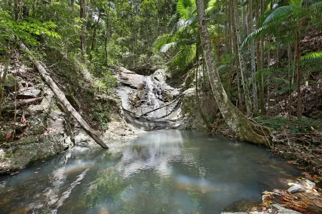 Tallebudgera Valley 2 Bedroom Private, Peaceful 20ha Paradise