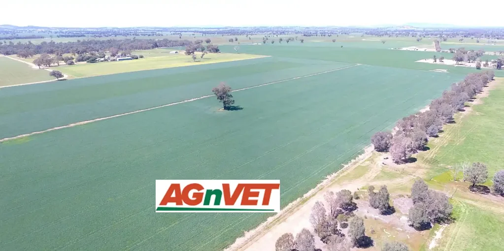Henty Rural Lifestyle or Developers Dream