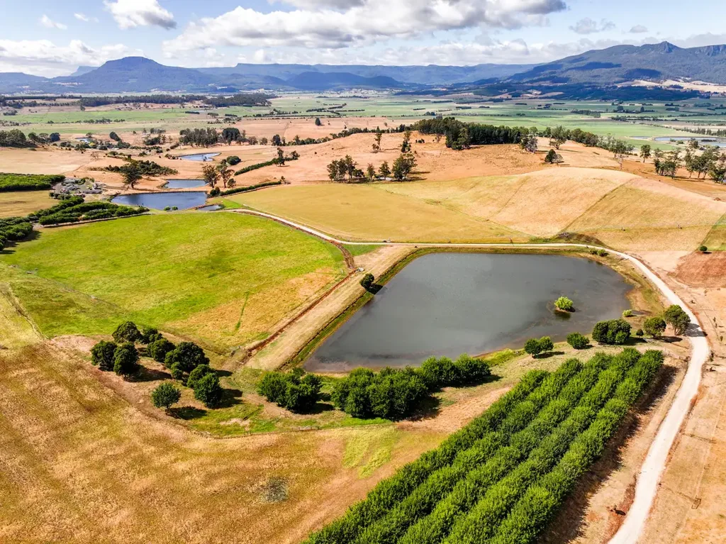 Needles Needlesdale  – A 200-Acre Agricultural Gem with Water Security & Exceptional Potential