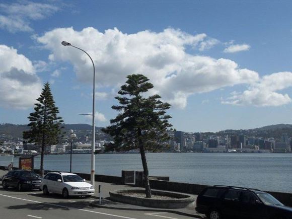 7/370 Oriental Parade, Oriental Bay, Wellington, 2 غرف, 1 حمامات