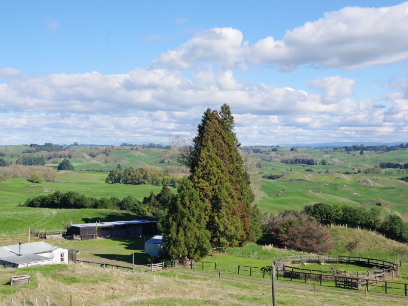 855 Kaahu Road, Mangakino, Taupo, 3部屋, 0バスルーム