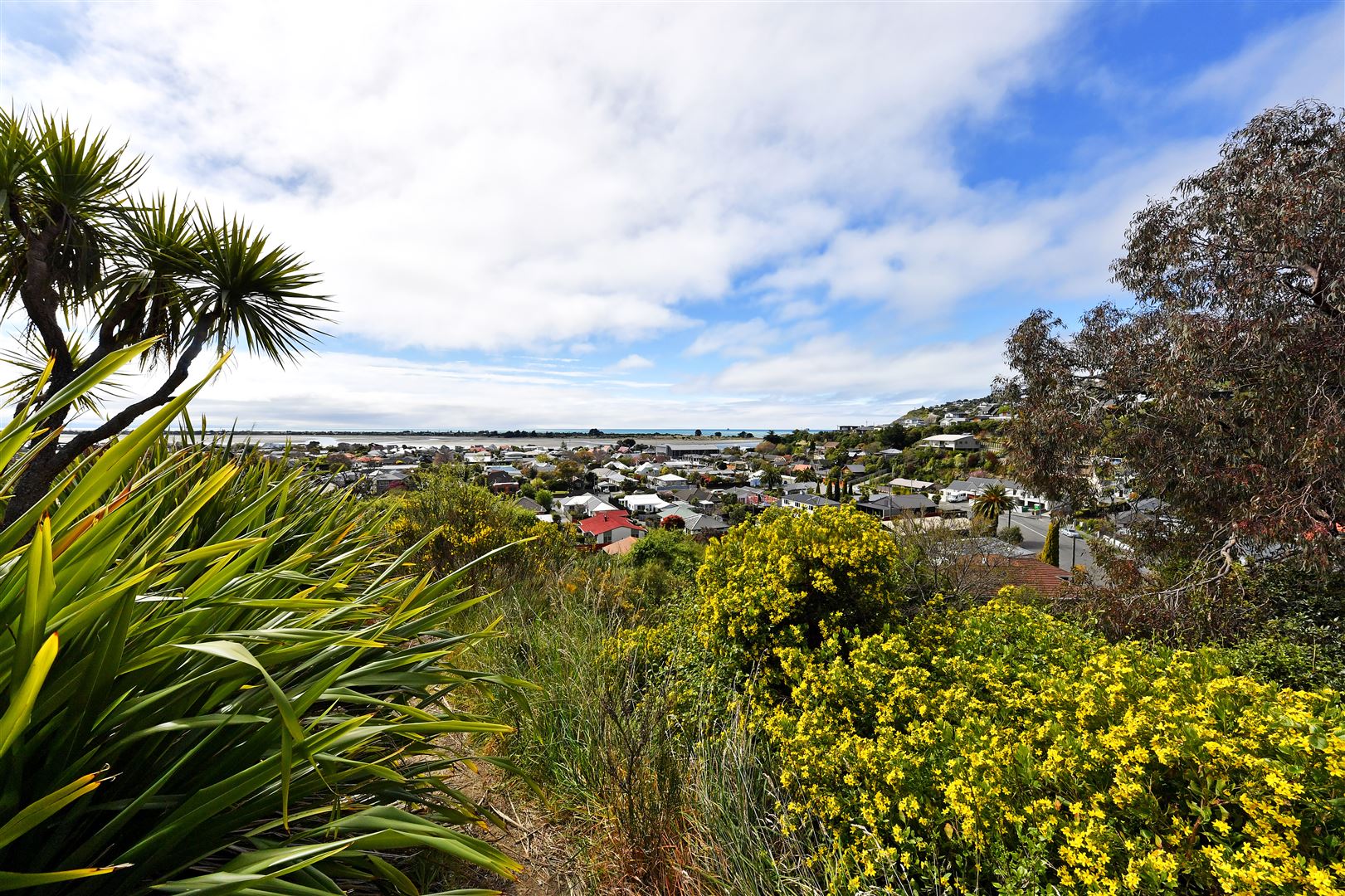 11 Egnot Heights, Redcliffs, Christchurch, 2 રૂમ, 1 બાથરૂમ