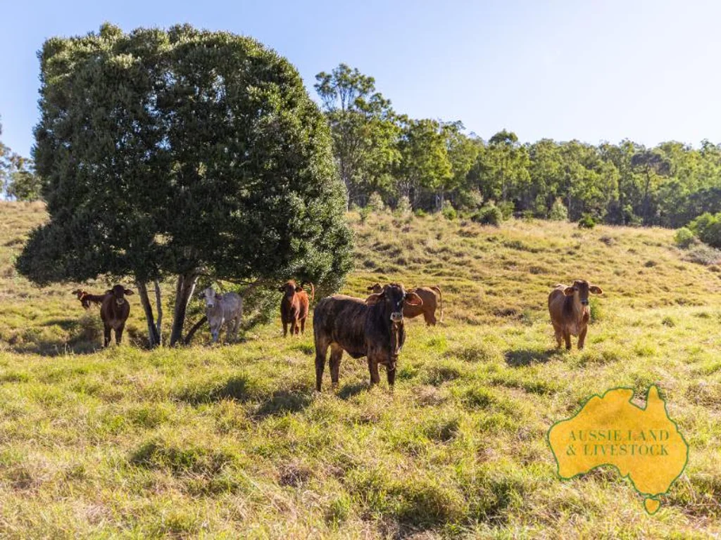 Mundubbera Mundubbera District Grazing Property