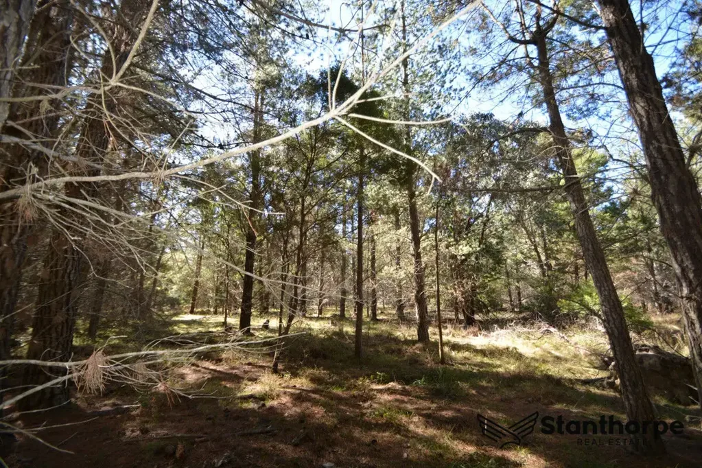 Sugarloaf  SUGARLOAF – A DELIGHTFUL 5 ACRE EX- FORESTRY –  HEAVILY FORESTED