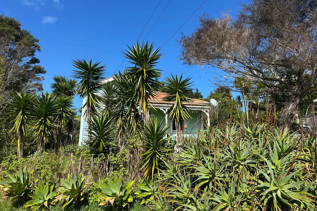 33 Donnellys Station Road, Dargaville, Kaipara, Northland