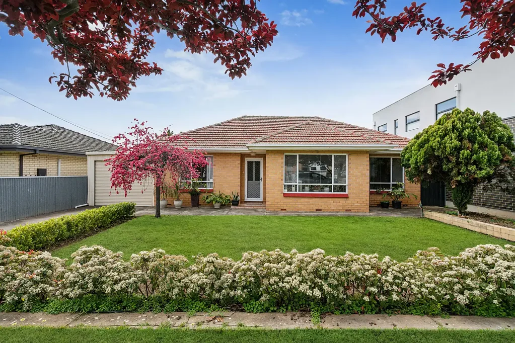 19 Mayfield Avenue, Hectorville, SA 5073
