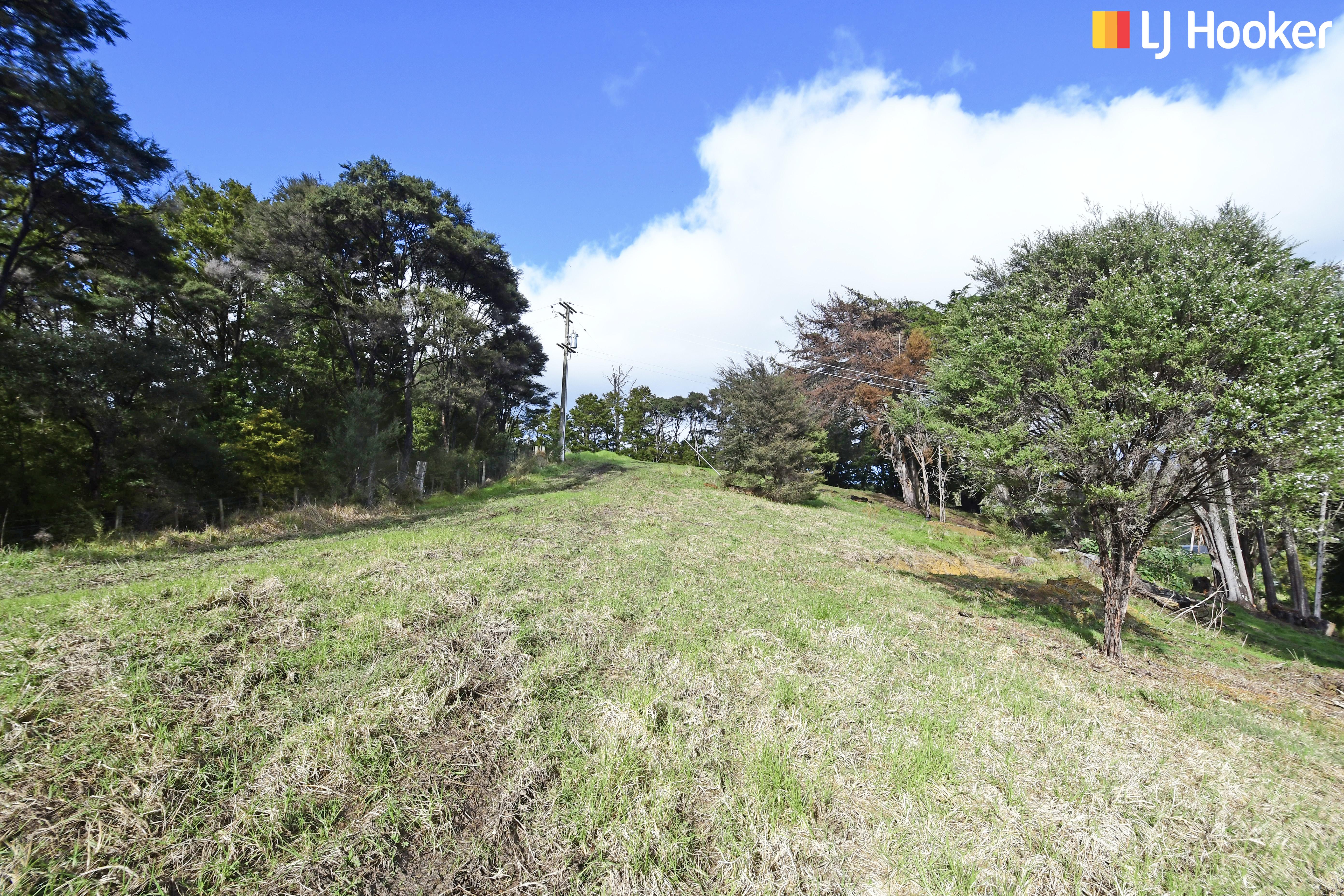 99 Birdsall Road, Whangateau, Auckland - Rodney, 0房, 0浴, Lifestyle Section