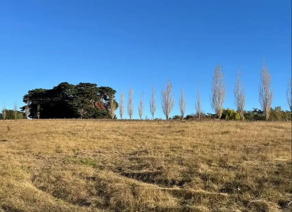 Mount Direction 4Moenga Beautiful Pasture, Fabulous Forest, 4 Dams, Creek, & 4 bedroom House - Renovators Delight