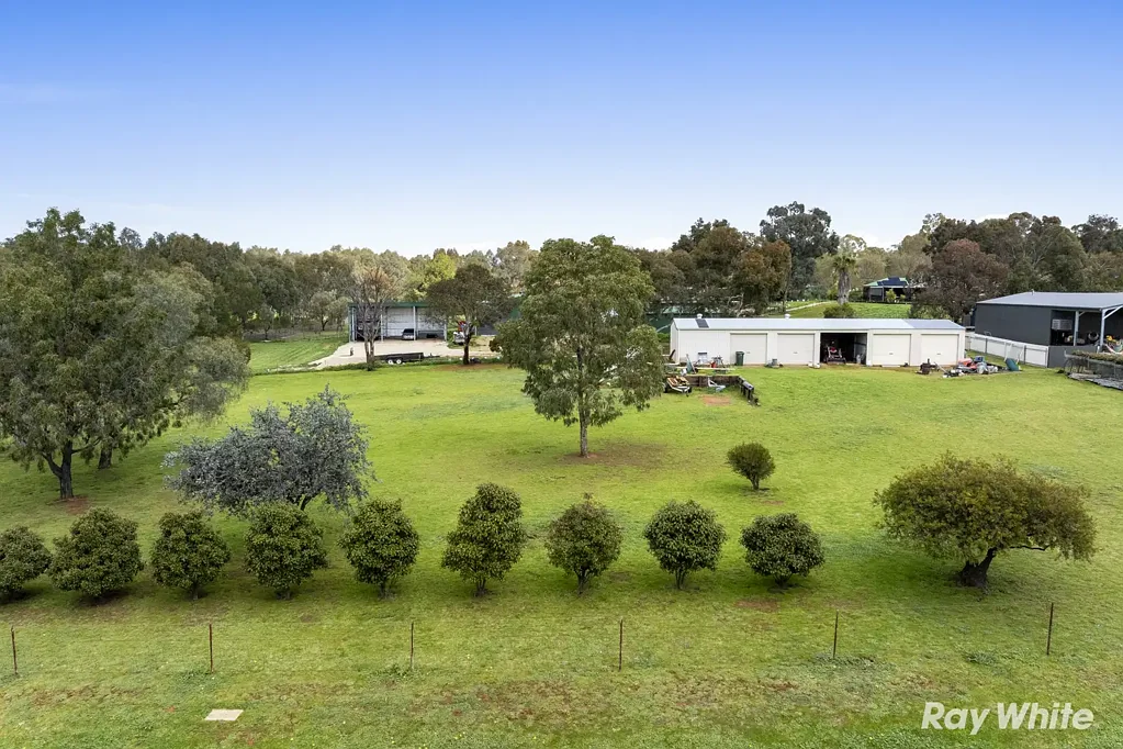 Junee A Rare Opportunity in Junee's Most Sought-After Location
