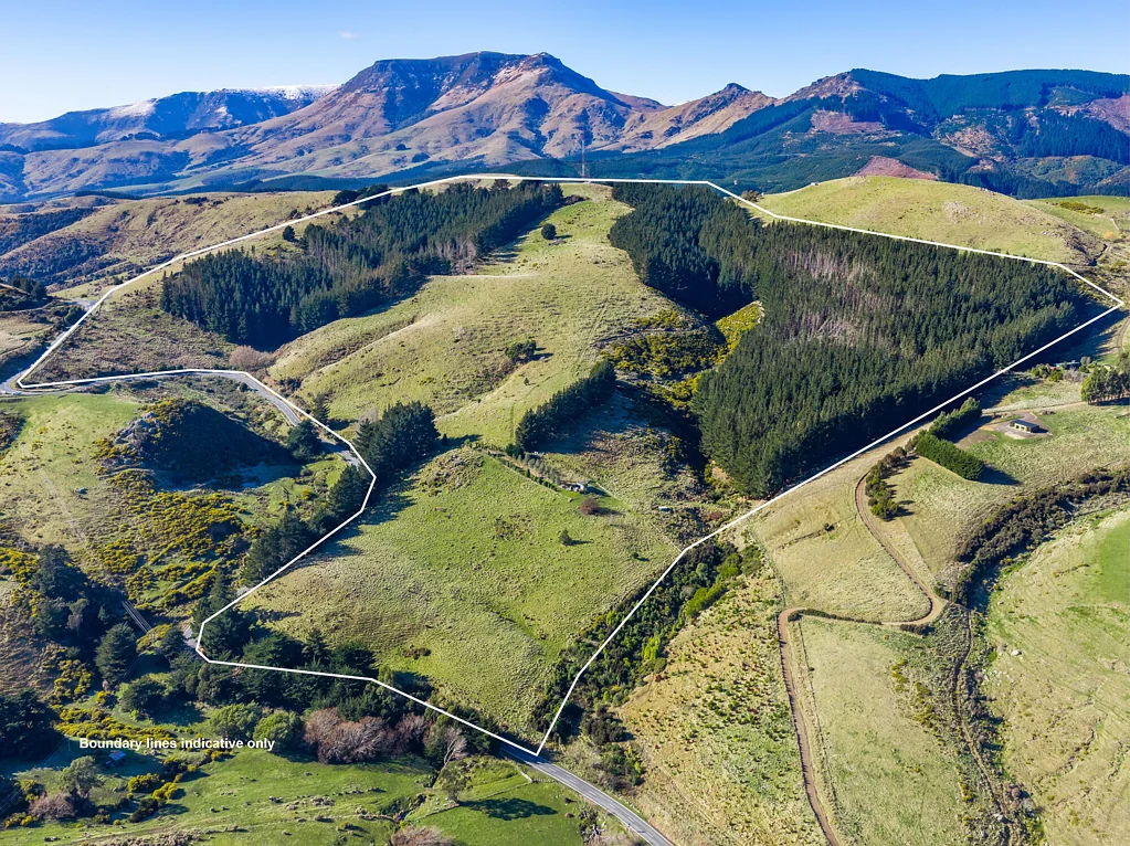 Governors Bay Rare 40ha Bareland Opportunity With Carbon Income