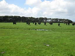 . Tin Mine Road, Loorana
