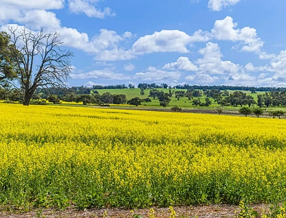 3903 Dandaragan Road, Dandaragan, WA 6507, 0 રૂમ, 0 બાથરૂમ, Lifestyle Property