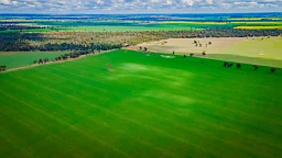 80 Lucas Lane, Coolamon