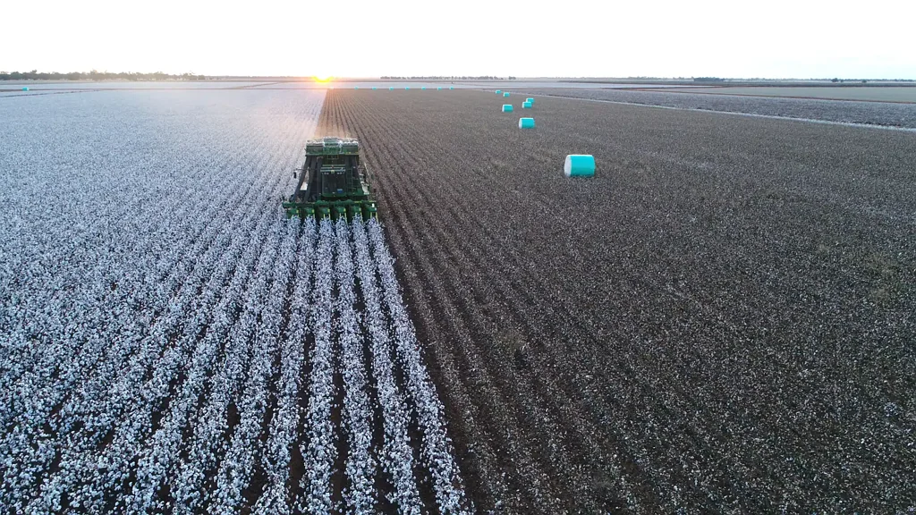 Narromine Premium Irrigation Country