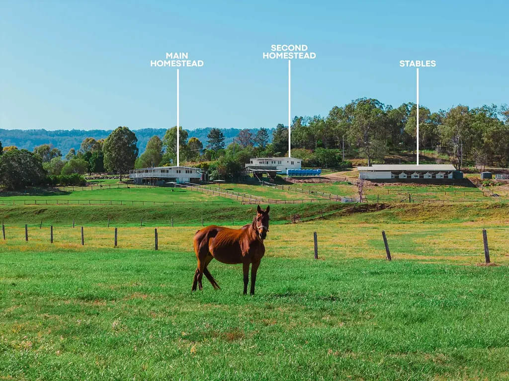 Biddaddaba  3272 Beaudesert Nerang Road, Biddaddaba QLD 4275 | 37.14 ha | 91.82 acres