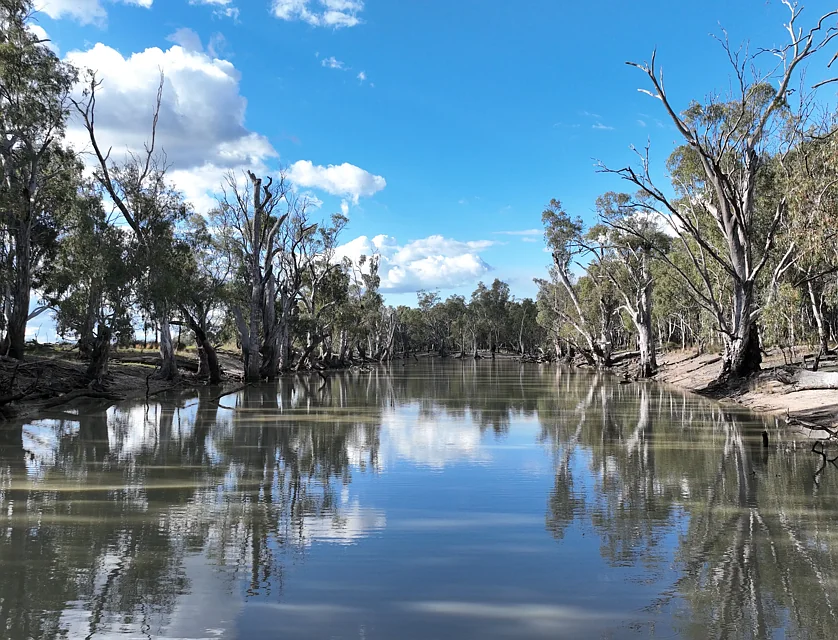 Cumnock Park Brassi Road, Deniliquin, Murray, 3 Kuwarto, 1 Banyo, Lifestyle Property
