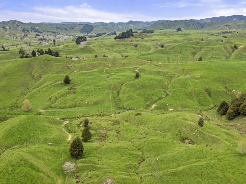 80 Parakoko Road, Aria, Waitomo, 3 침실, 0 욕실