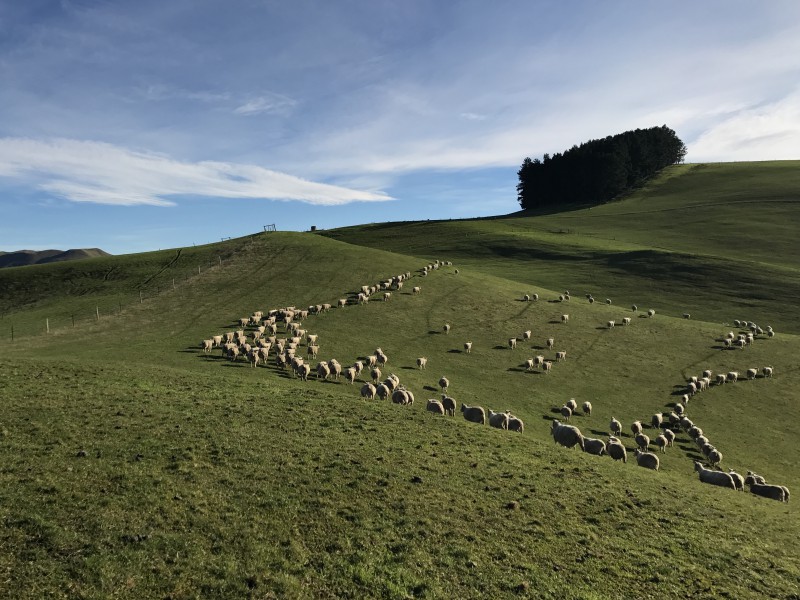 870a Glenmark Drive, Waipara, Hurunui, 0房, 0浴