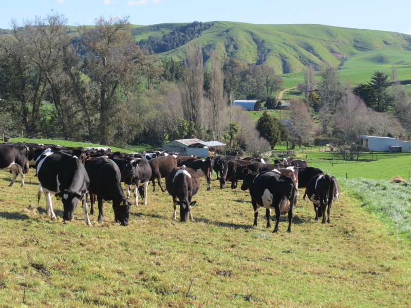 160 Paewhenua Road, Maihiihi, Otorohanga, 3 Bedrooms, 1 Bathrooms