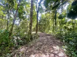 Lot 150 Wattle Close, Daintree