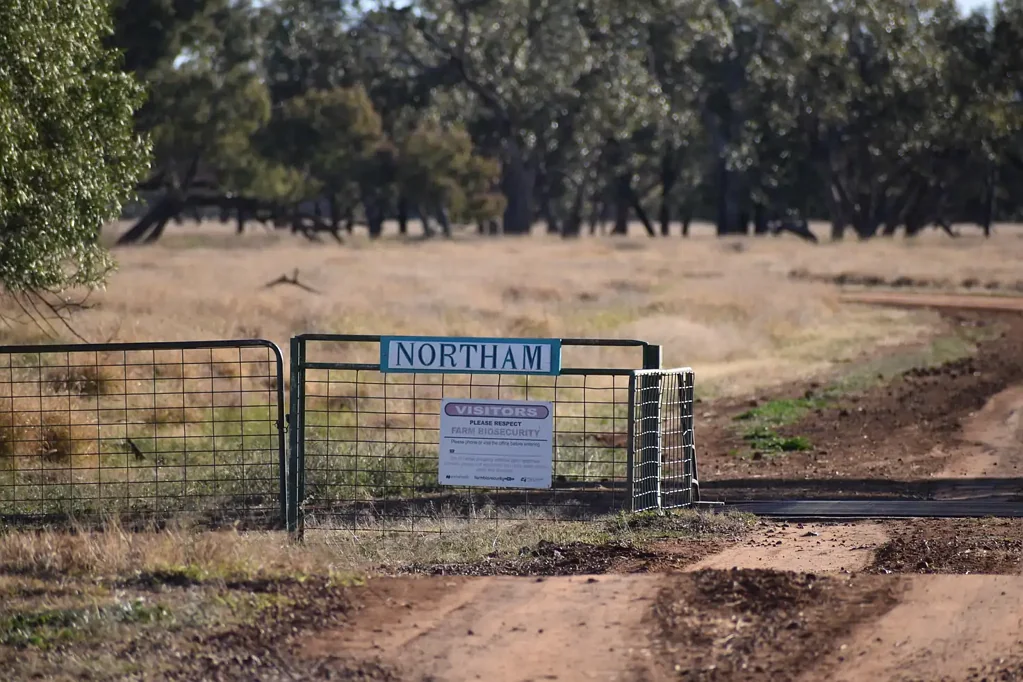 Wyandra  Versatile South-West Grazing