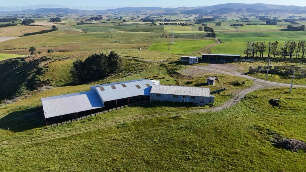 Balclutha  Sheep and beef or dairy grazing in prime location