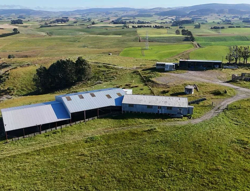 49 Clutha Downs Road, Balclutha, Clutha, 6房, 2浴, Grazing