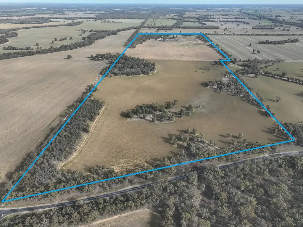 Nathalia Cropping outblock