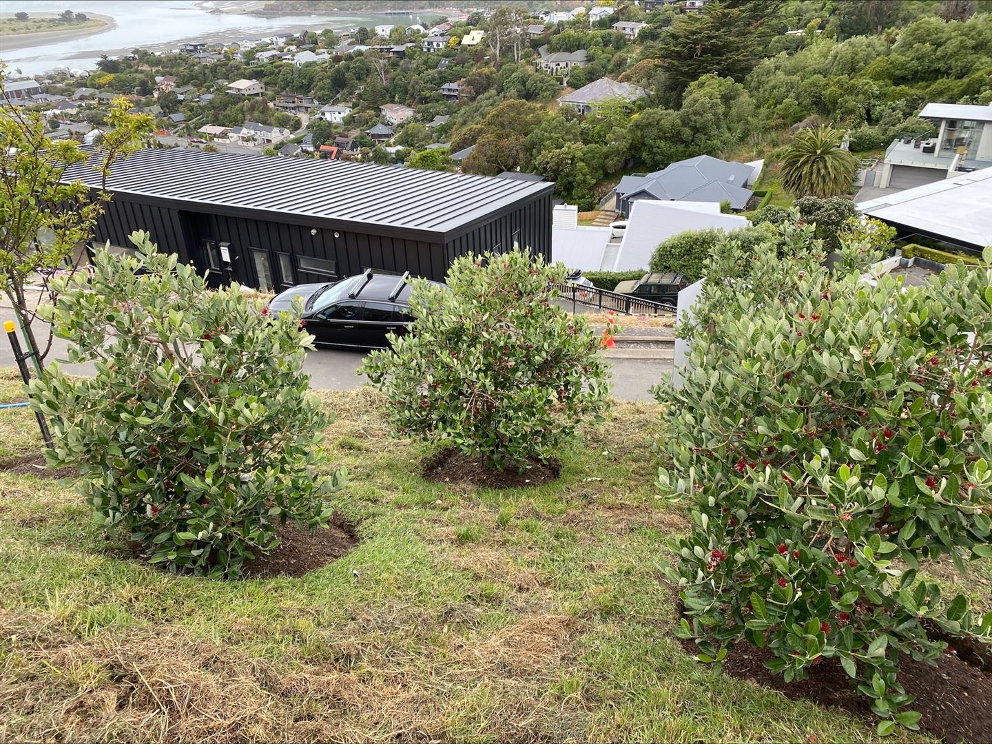 21 Challenger Lane, Redcliffs, Christchurch, 3 Bedrooms, 0 Bathrooms, Section