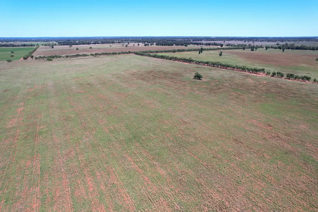 371 Blue Letterbox Lane, Tullamore, NSW 2874