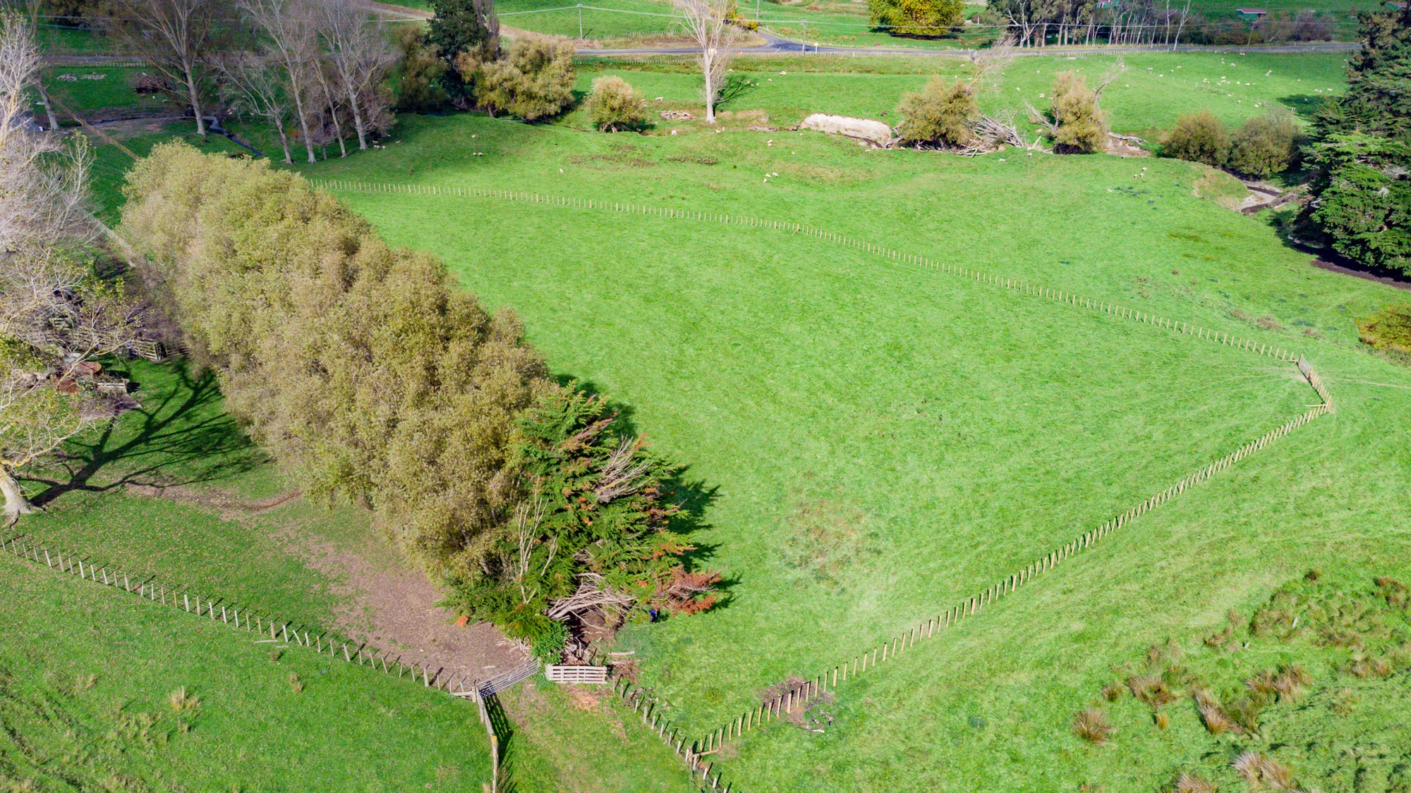 411 Valley Road, Colyton, Feilding, Manawatu, 0 Bedrooms, 0 Bathrooms, Lifestyle Section