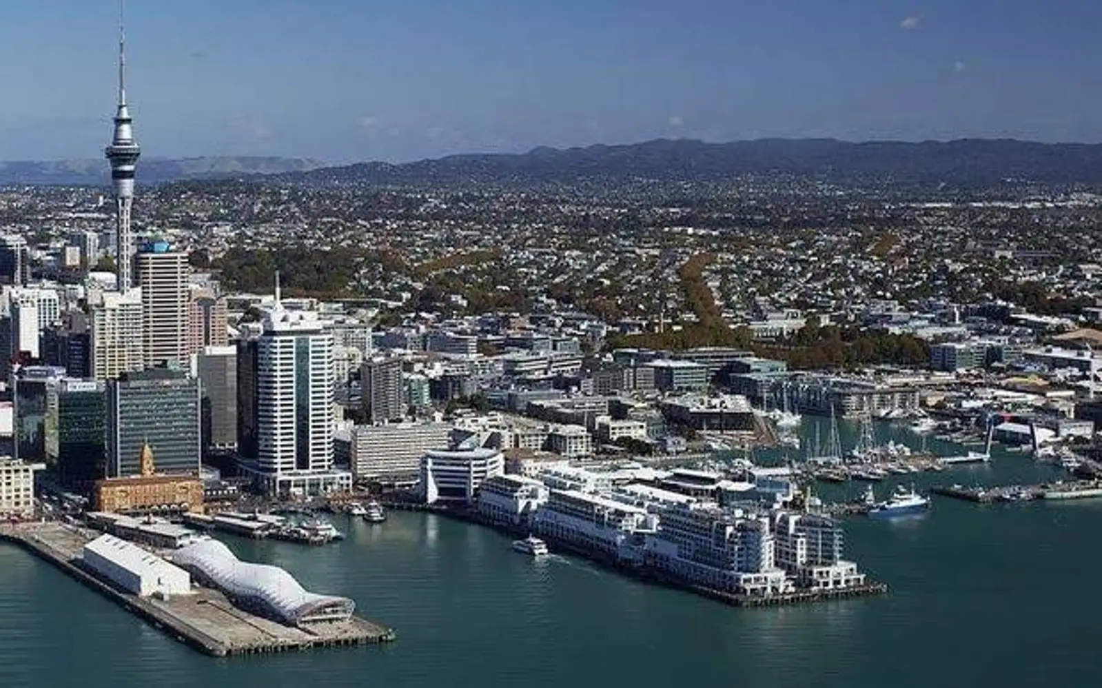 奥克兰房市一窥：北岸市区下滑，这些区猛涨！拍卖成交破纪录！