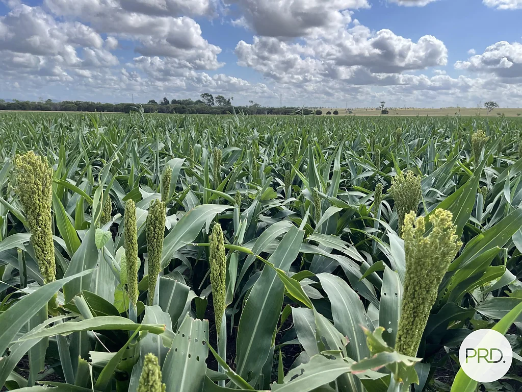 Lower Mount Walker PRIME MIXED FARMING ENTERPRISE