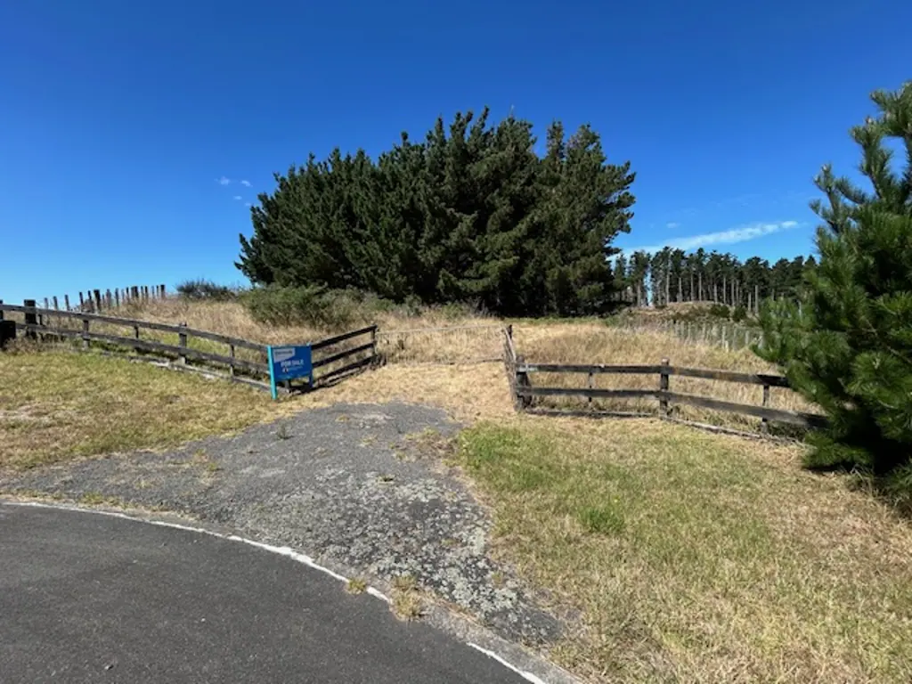 Waitarere Beach  Elevated On The Rise