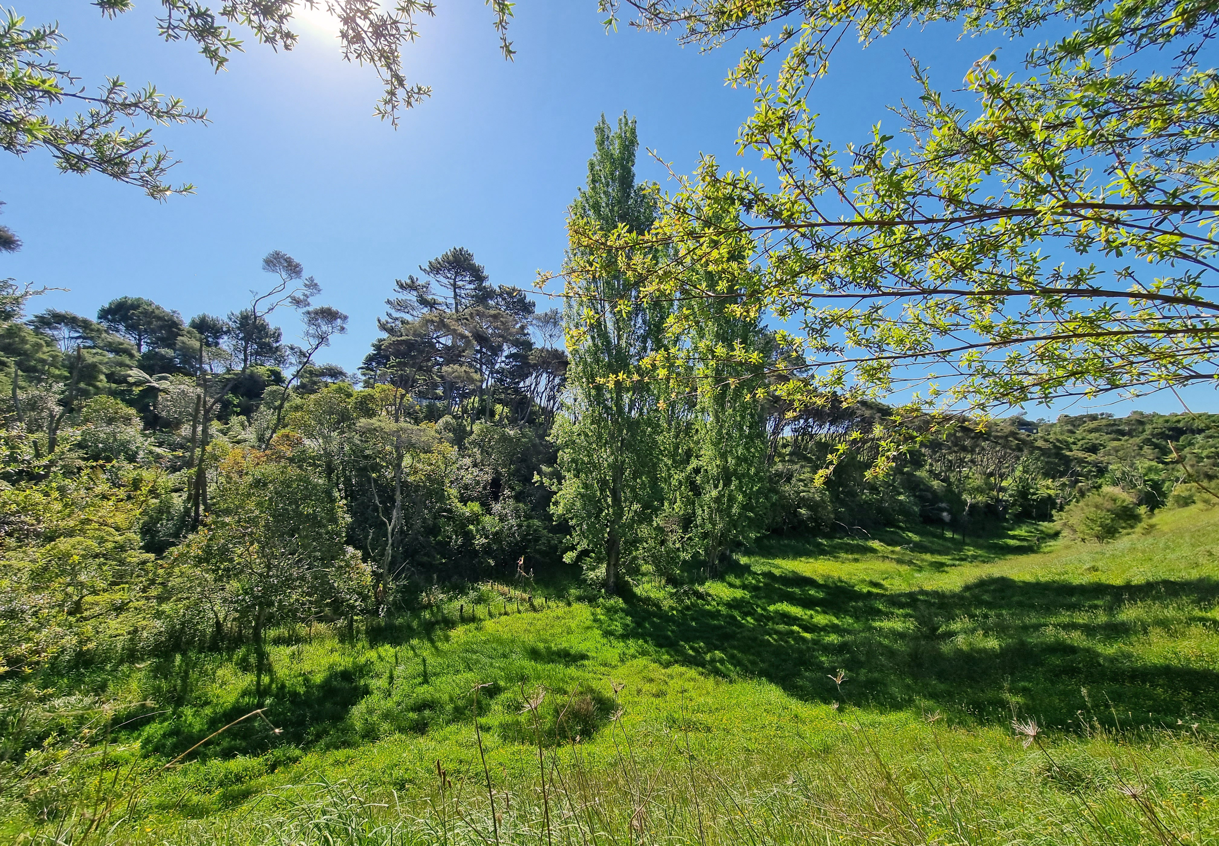 14c Greenslade Road, Raglan, Waikato, 0 Schlafzimmer, 0 Badezimmer, Section