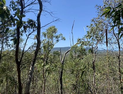 LOT 36 Whitsunday Dr, Bloomsbury, Mackay, 0房, 0浴, Section