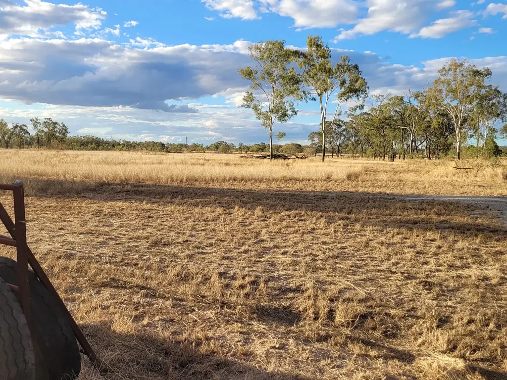 Westwood Ultimate Country Block,16 Acres of Level Fertile Productive Land with Large Shed and Horse Complex
