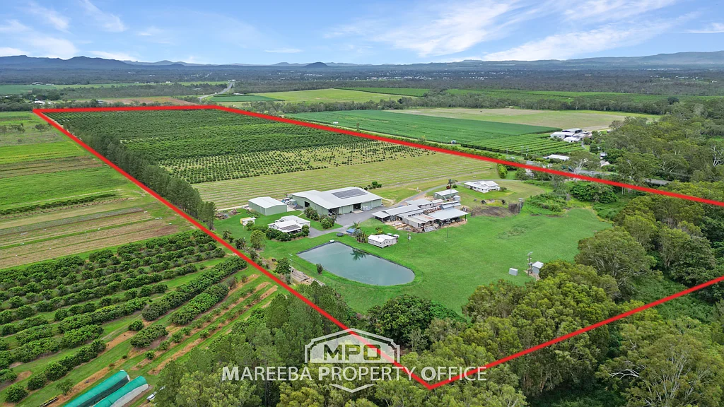 Mareeba  PRIME COMMERCIAL ORCHARD FARM