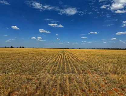 2764 The McGrane Way, Narromine, North West, 4部屋, 2バスルーム, Lifestyle Property