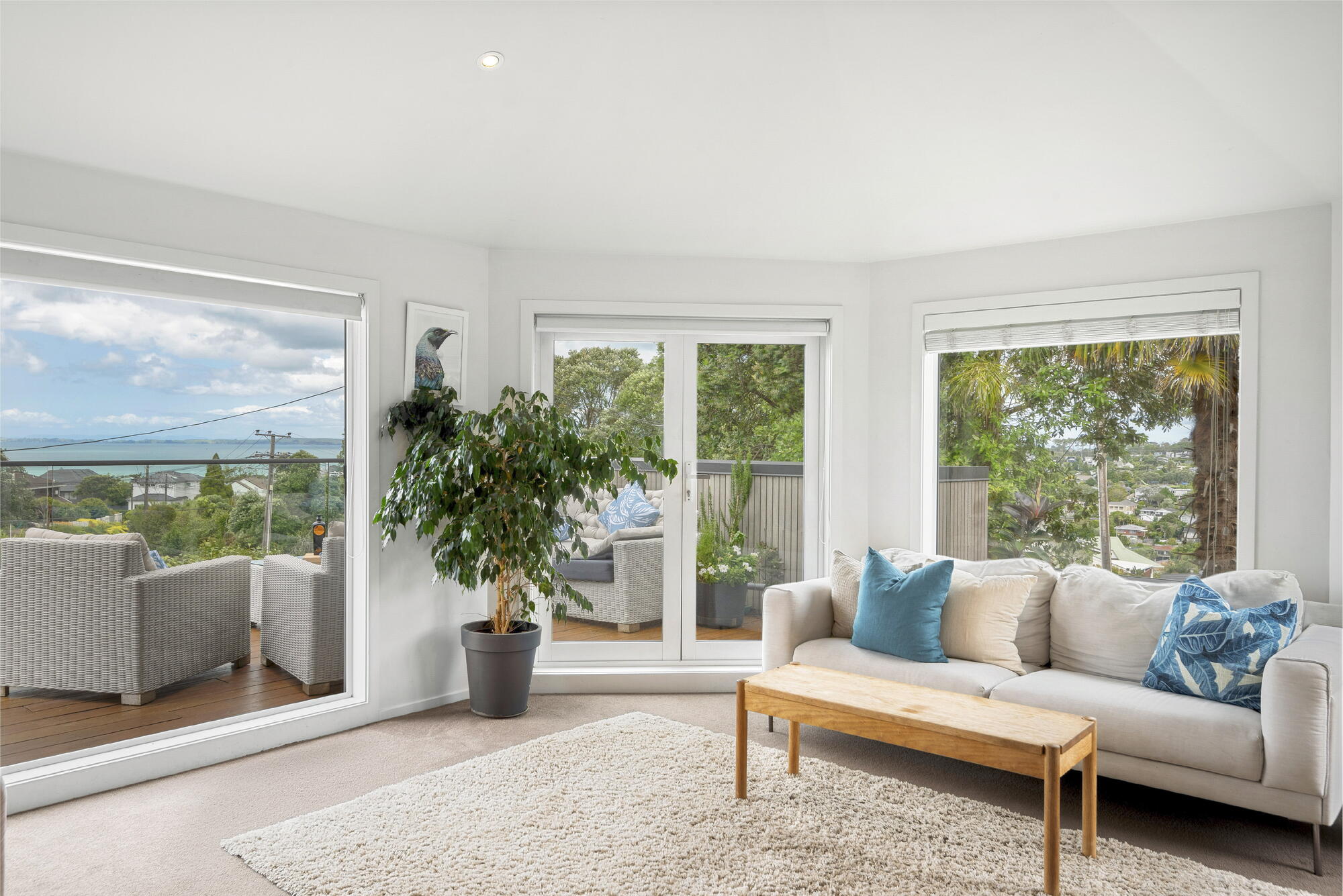 93 Hastings Road, Mairangi Bay, photo 3