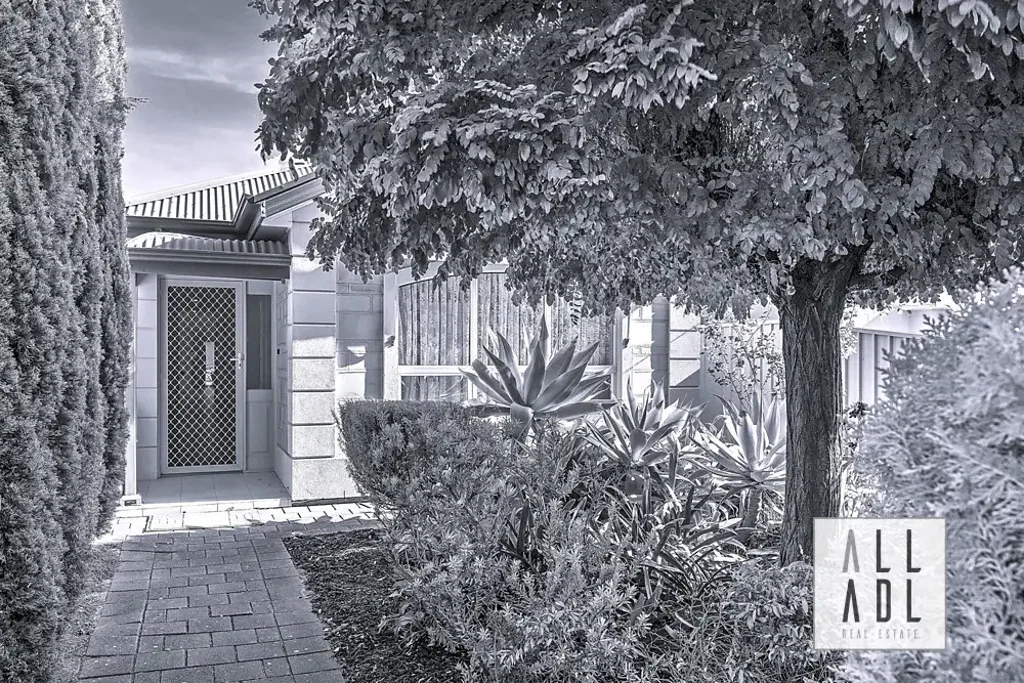 10 Shelley Street, Firle, SA 5070