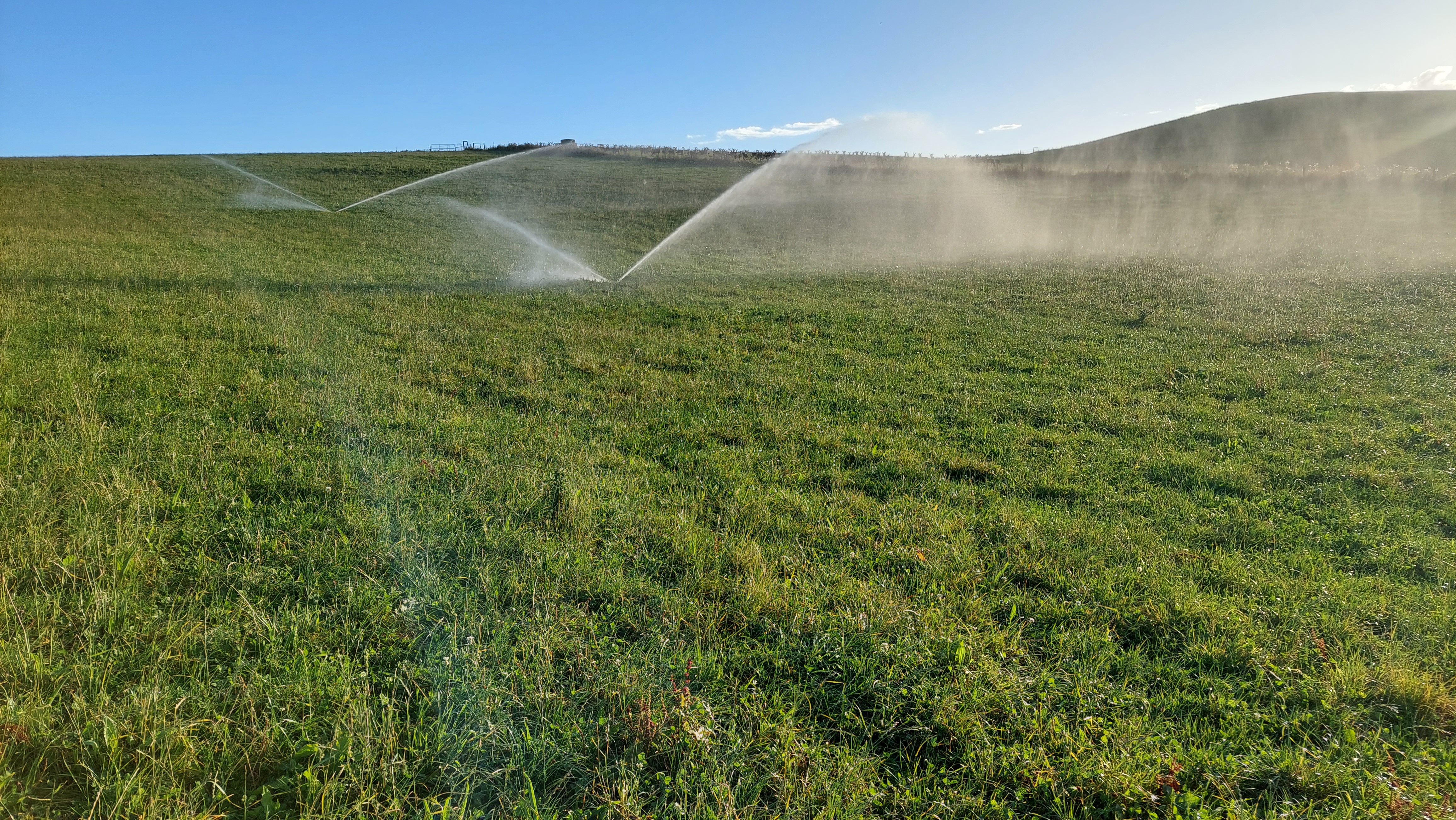 691 Kauru Hill Road, Five Forks and Surrounds, Waitaki, 0 rūma, 0 rūma horoi, Grazing