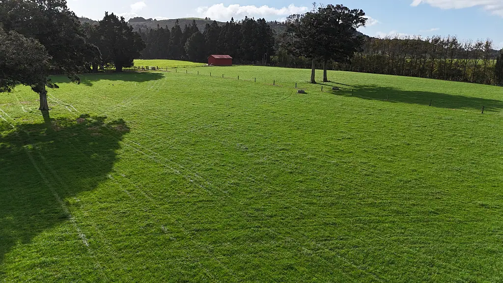 Kaikohe Prime Land Groomed To Go!