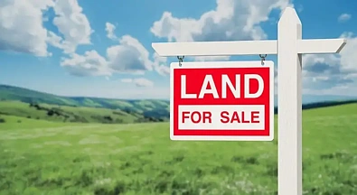 Pitt Town 25m Frontage | 1,600m²+ Premium Land