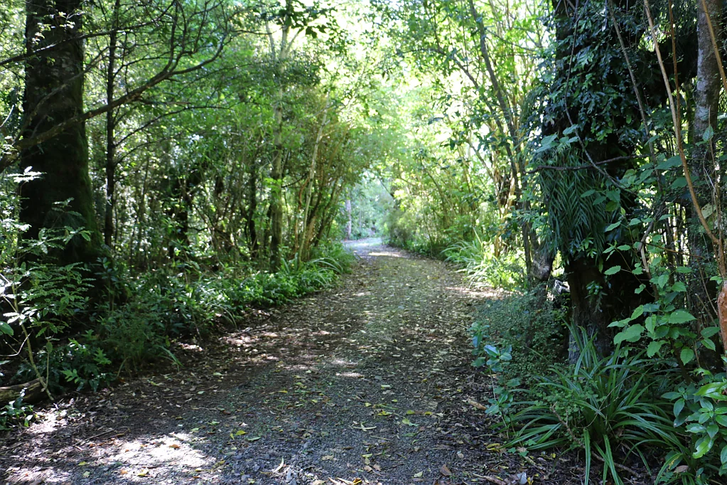 Geraldine Peel Forest Paradise