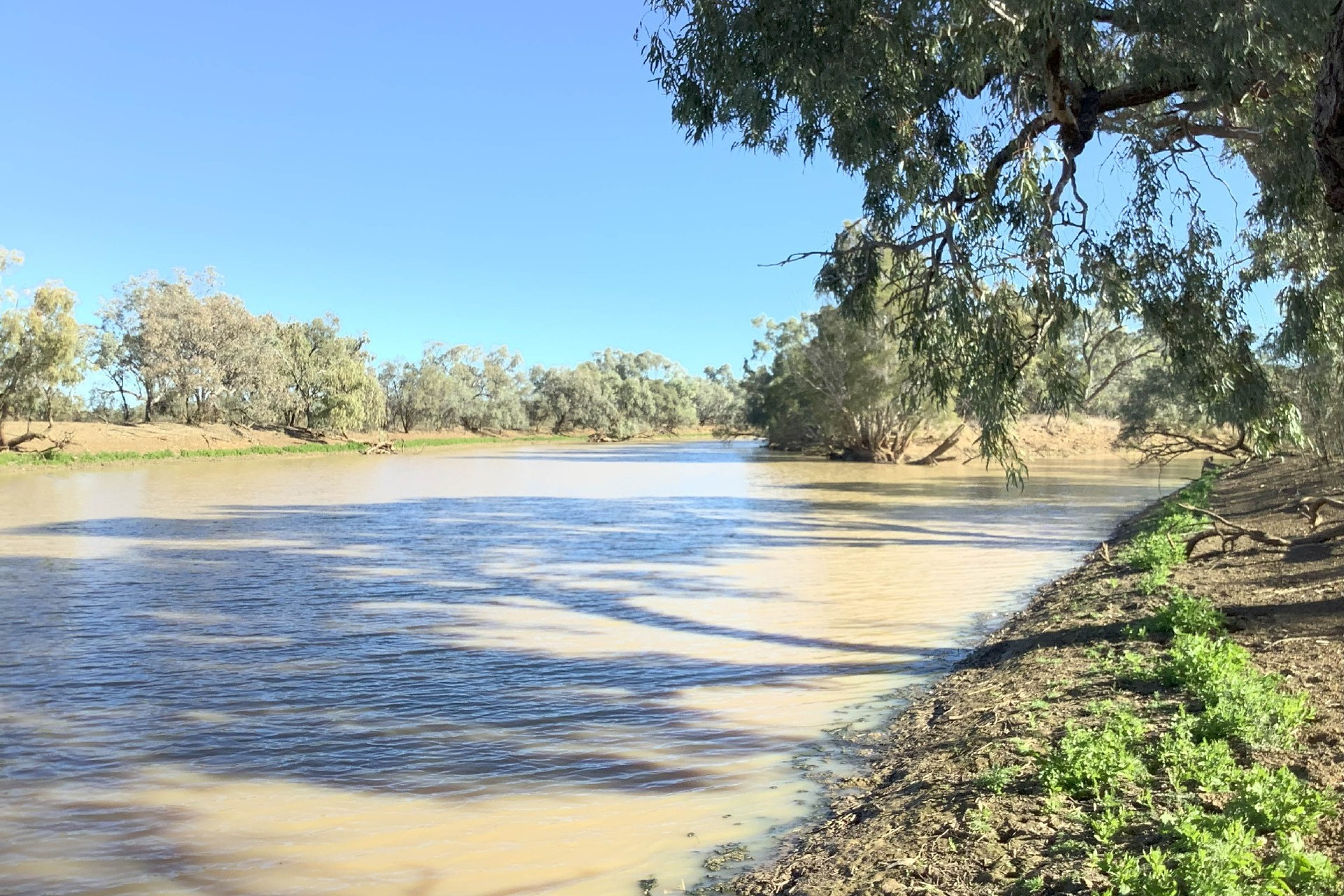 YANBURRA 4080 CRAMSIE - MUTTABURRA RD, LONGREACH QLD 4730, 0 chambres, 0 salles de bain, Lifestyle Property