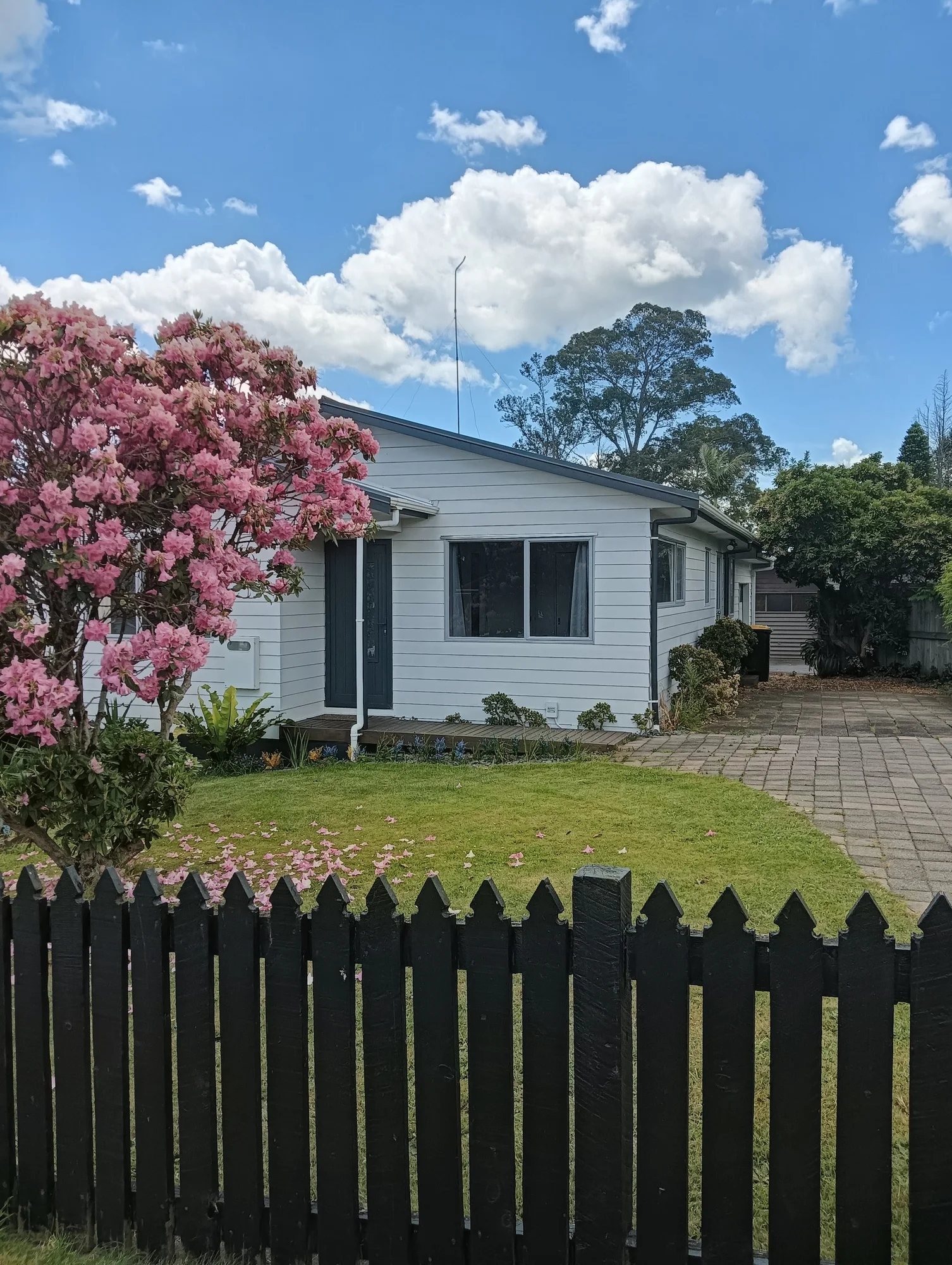 Parkvale 3Kwarto Cottage charm, Freehold, First home.