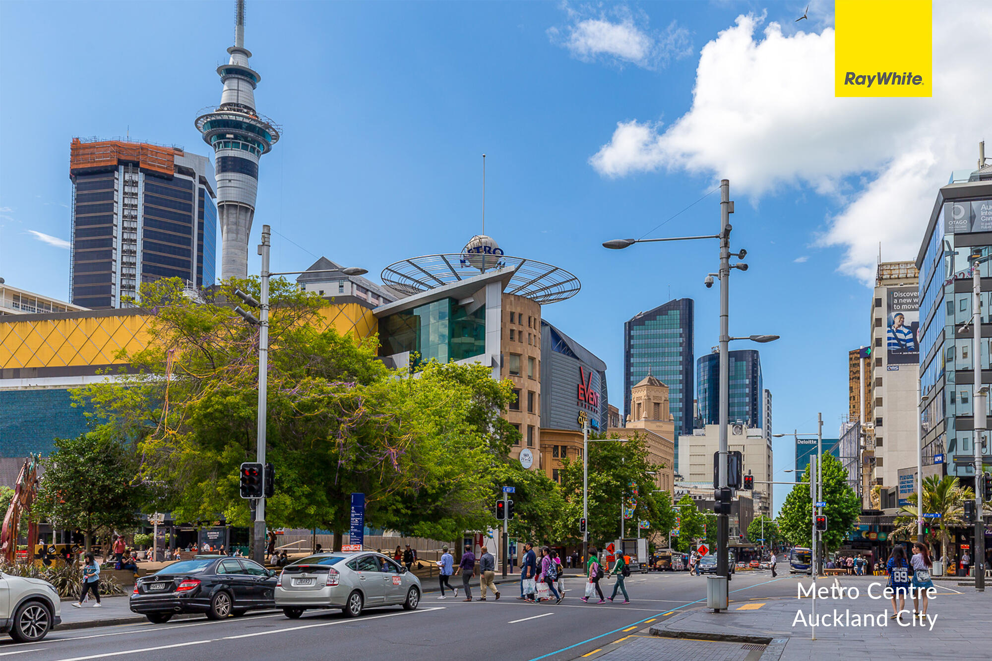 Level 12/430 Queen Street, Auckland Central, photo 15