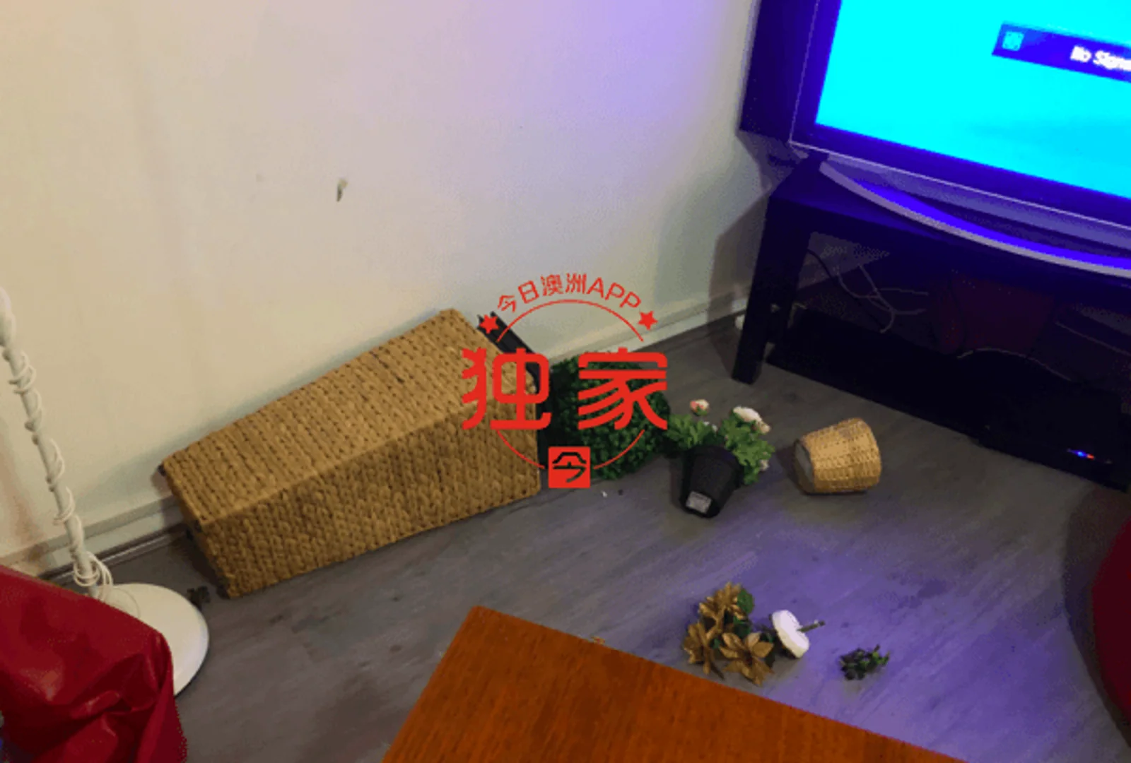 澳华女出租民宿，竟成非裔teens大趴场！家具砸烂一地，“到处是血，像被洗劫过！”